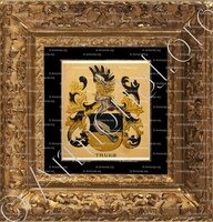 cadre-ancien-or-TRUEB_Wappenbuch der Stadt Basel . B.Meyer Knaus 1880_Schweiz 