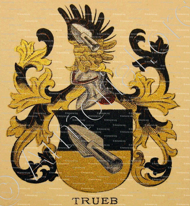 TRUEB_Wappenbuch der Stadt Basel . B.Meyer Knaus 1880_Schweiz 