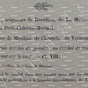 BRISSON_Armorial du Bourbonnais (Cte G. de Soultrait, 1857)_France (ii)a