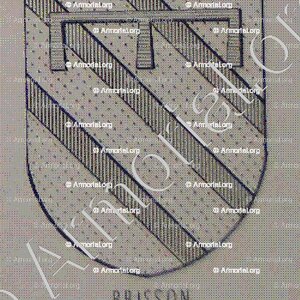 BRISSON_Armorial du Bourbonnais (Cte G. de Soultrait, 1857)_France (iii)