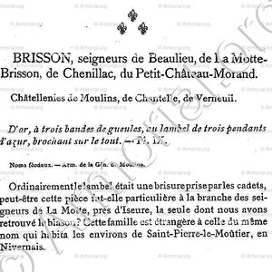 BRISSON_Armorial du Bourbonnais (Cte G. de Soultrait, 1890)_France (ii)