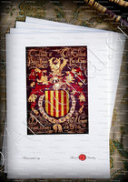 velin-d-Arches-JOHAN I Roy d'ARAGON, de NAVARRE & de SICILE_Armorial_Espagne, France, Italie
