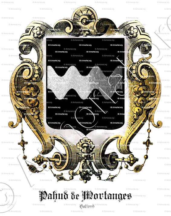 PAHUD de MORTANGES_Holland_Nederland (1)