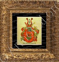 cadre-ancien-or-TSCHIENTSCHY_Wappenbuch der Stadt Basel . B.Meyer Knaus 1880_Schweiz 