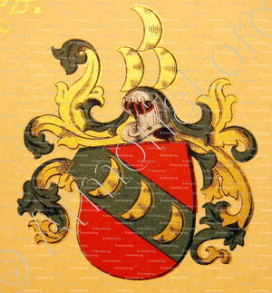 ALBAECK_Wappenbuch der Stadt Basel . B.Meyer Knaus 1880_Schweiz
