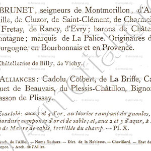 BRUNET_Bourbonnais_France.  (10)