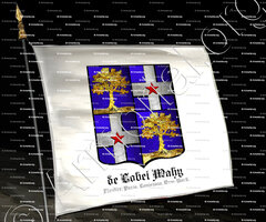drapeau-de LOBEL MAHY_Flandre, Paris, Louisiana, New-York._France, United States of America