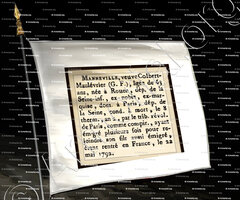 drapeau-MANNEVILLE veuve COLBERT MAULEVRIER_ Condamné à Mort pendant la Révolution Française sous la Terreur (1789 1794)._France