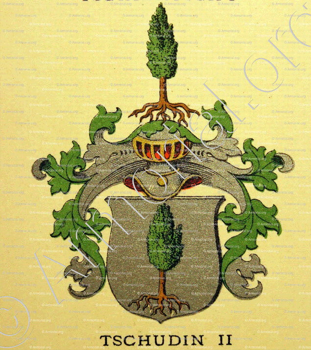 TSCHUDIN_Wappenbuch der Stadt Basel . B.Meyer Knaus 1880_Schweiz 