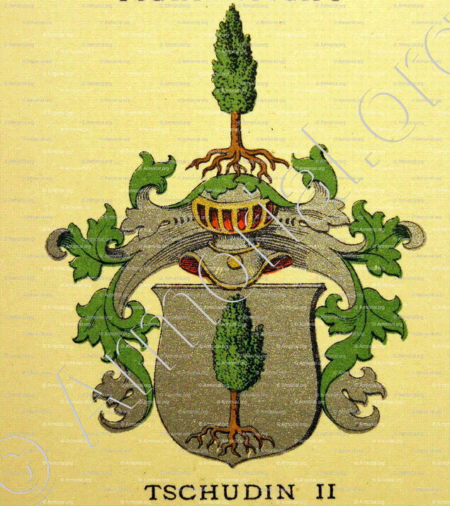 TSCHUDIN_Wappenbuch der Stadt Basel . B.Meyer Knaus 1880_Schweiz 