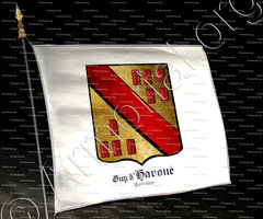 drapeau-Guy d'HAROUÉ_Chevalerie de Lorraine_France