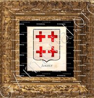 cadre-ancien-or-ANGELY_Armorial Philippe de Fleury. Paris._France (1)