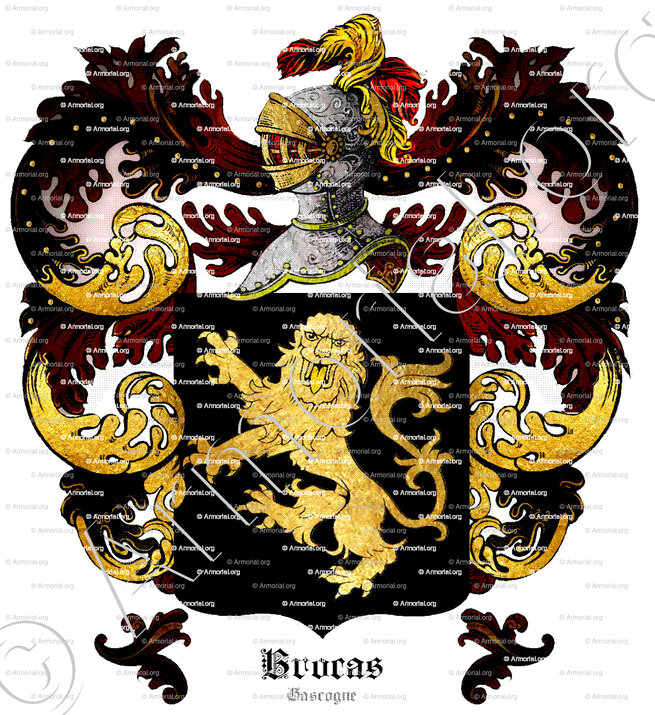 BROCAS_Gascogne_France.