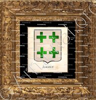 cadre-ancien-or-ANGELY_Armorial Philippe de Fleury. Paris._France (2)