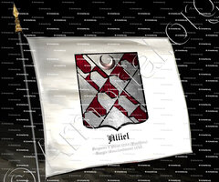drapeau-ALLIEL_Seigneur d'Alliel 1288 (Ponthieu), Bougie (Constantinois) 1848_France, Algérie