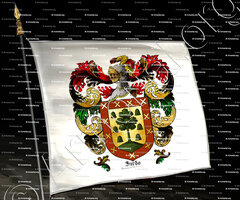 drapeau-ZURDO_Campo de Calatrava_España (1)