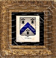 cadre-ancien-or-AUGRON_Armorial Philippe de Fleury. Paris._France