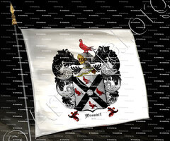 drapeau-MASSART_Liège_Belgique..