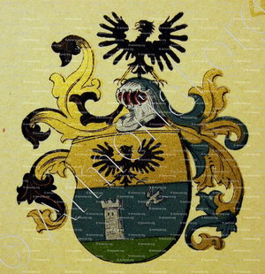 ALIOTH_Wappenbuch der Stadt Basel . B.Meyer Knaus 1880_Schweiz