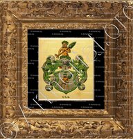 cadre-ancien-or-ULL_Wappenbuch der Stadt Basel . B.Meyer Knaus 1880_Schweiz 