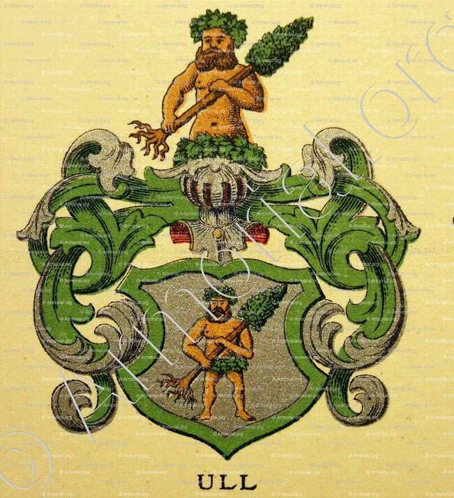 ULL_Wappenbuch der Stadt Basel . B.Meyer Knaus 1880_Schweiz 