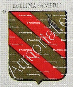 SOLLIMA DEI MERLI