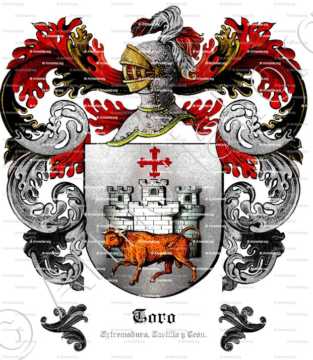 TORO_Extremadura, Castilla y León._España (1)