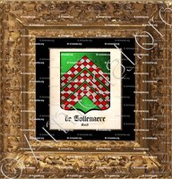 cadre-ancien-or-de TOLLENAERE_Gand_Belgique (i)