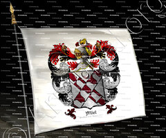 drapeau-ALLIEL_Seigneur d'Alliel 1288 (Ponthieu), Bougie (Constantinois) 1848_France, Algérie.
