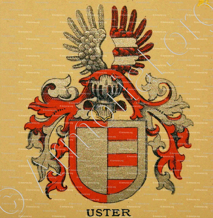 USTER_Wappenbuch der Stadt Basel . B.Meyer Knaus 1880_Schweiz 