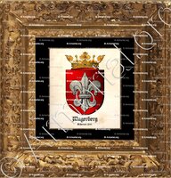 cadre-ancien-or-MAYERBERG_Freiherr. Schlesien 1666._Böhmen (3)