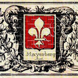 MAYERBERG_Freiherr. Schlesien_Böhmen Österreich (3)