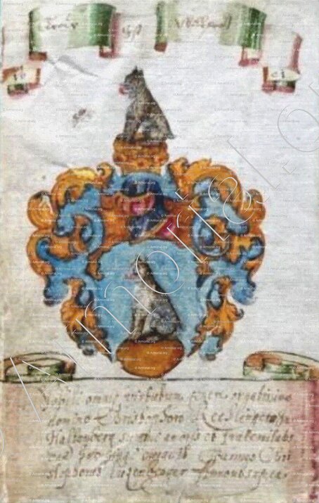 GATTI_Romagna_Italia