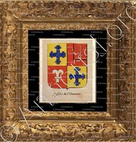 cadre-ancien-or-RAFELIS DE SAINT SAUVEUR_Noblesse d'Empire._France