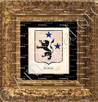cadre-ancien-or-BESSAC_Armorial Philippe de Fleury. Paris._France