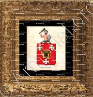 cadre-ancien-or-ALEGAMBE_Armorial royal des Pays-Bas_Nederland