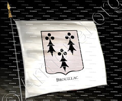 drapeau-BROUILLAC_Armorial Philippe de Fleury. Paris._France