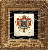 cadre-ancien-or-NAPOLEON Ier_Empereur des Français, Roi d'Italie, Protecteur de la Confédération du Rhin et Médiateur de la Confédération Suisse_France...