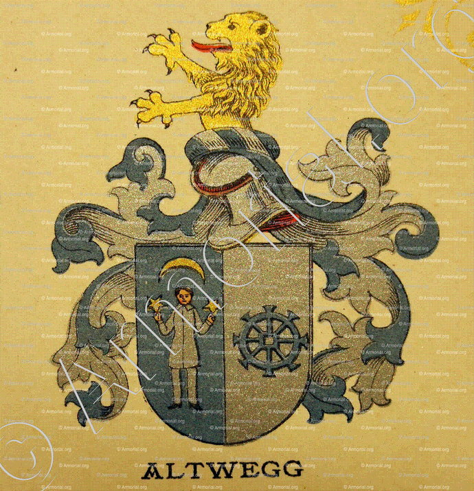 ALTWEGG_Wappenbuch der Stadt Basel . B.Meyer Knaus 1880_Schweiz