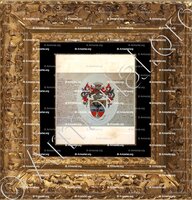 cadre-ancien-or-AB ALTO OMNIA_Armorial Nice. (J. Casal, 1902) (Bibl. mun. de Nice)_France (Albini) (i)