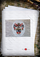 velin-d-Arches-AB ALTO OMNIA_Armorial Nice. (J. Casal, 1902) (Bibl. mun. de Nice)_France (Albini) (i)