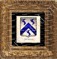cadre-ancien-or-BRUMAULT_Armorial Philippe de Fleury. Paris._France