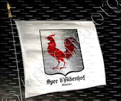 drapeau-SPEE d'ALDENHOF_