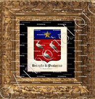 cadre-ancien-or-BERAUDO di PRALORMO_Contea di Nizza._Italia Francia