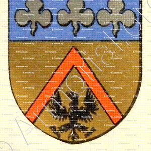 CHARBON de VALTANGE_Bourbonnais_France (2)
