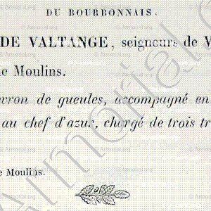 CHARBON de VALTANGE_Bourbonnais_France (5)+