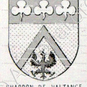 CHARBON de VALTANGE_Bourbonnais_France (6)+