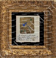 cadre-ancien-or-ACHIARDI de SAINT LEGER_Armorial Nice. (J. Casal, 1902) (Bibl. mun. de Nice)_France (i)