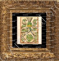 cadre-ancien-or-GRÜNENBERG_Scheiblerschen Wappenbuch_Deutschland