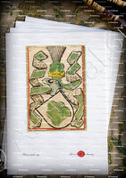 velin-d-Arches-GRÜNENBERG_Scheiblerschen Wappenbuch_Deutschland